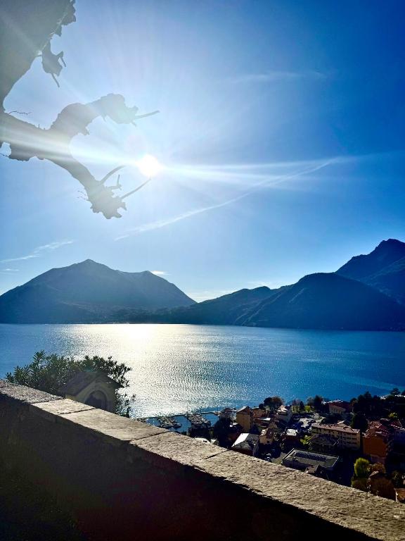 a group of birds flying over a body of water at Ninfea Como Lake - La casa del viandante in Bellano