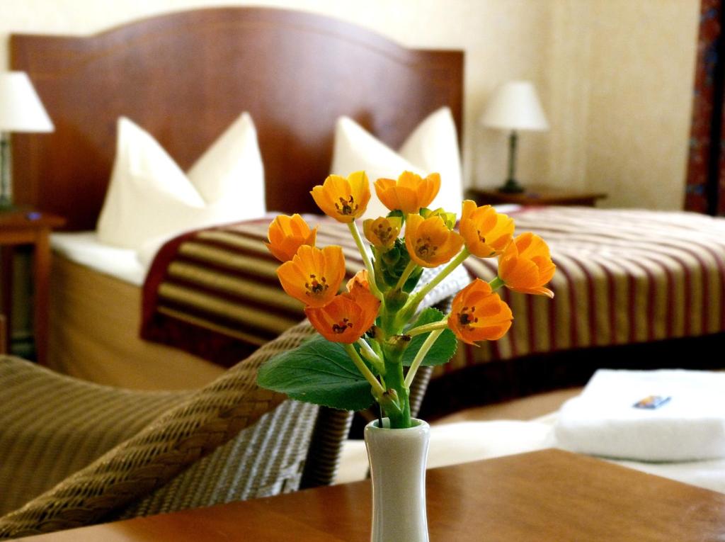 Safestay Berlin Kurfurstendamm - Resim 42