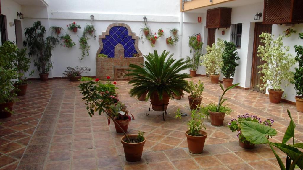 Vonkajšia záhrada v ubytovaní Hotel Posada Casas Viejas