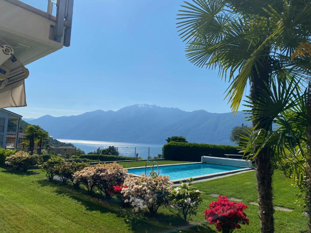 a resort with a swimming pool and a palm tree at HOLIDAY Residence Sette Nani in San Nazzaro