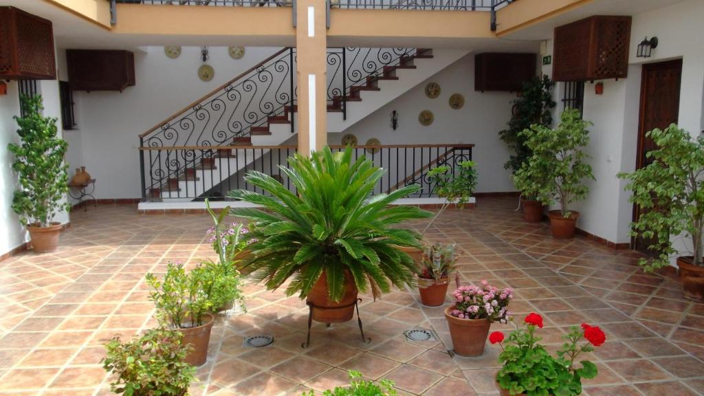 Gallery image of Hotel Posada Casas Viejas in Benalup Casas Viejas