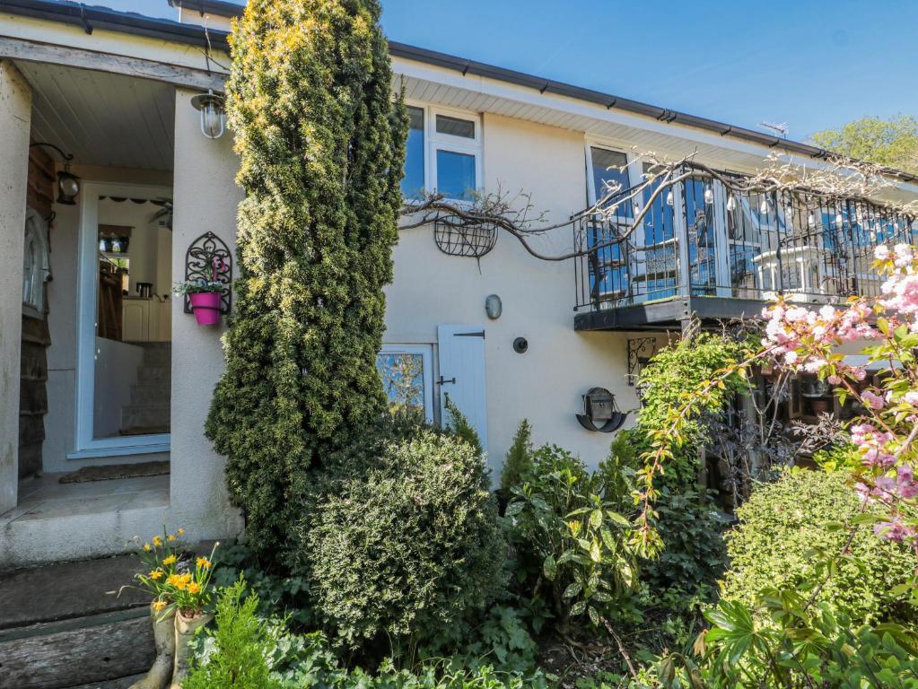 a house with a large tree in front of it at 7 The Cedars in Wotton-under-Edge