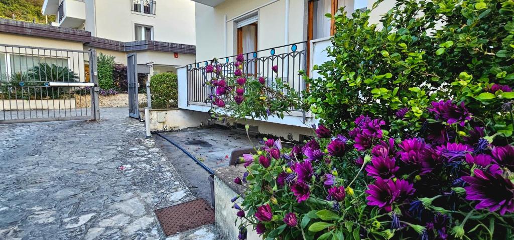 a balcony with purple flowers on a building at Speloncae Apartment in Sperlonga