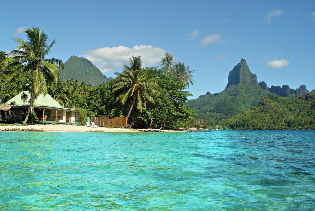 Robinson's Cove Villas - Deluxe Cook Villa - photo 9 - Moorea, Polynésie