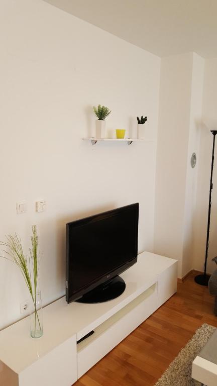 TV a/nebo společenská místnost v ubytování Apartment Roko