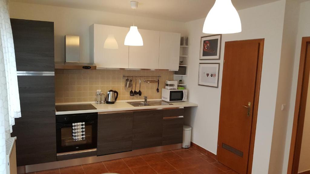 Kuchyň nebo kuchyňský kout v ubytování Apartment Roko