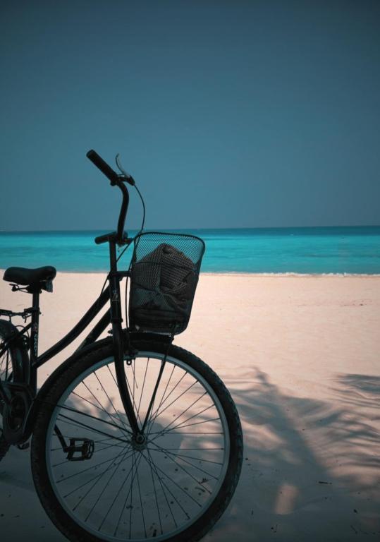 Oceana Surf Maldives - Kudahuvadhoo Island Surf Retreat - View 20
