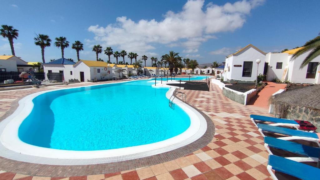 a large swimming pool with blue chairs and palm trees at First Love in Caleta De Fuste
