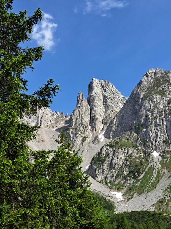 a mountain range with trees in front of it at BROWN DOLOMYTE Apartment in Schilpario