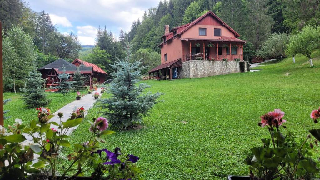 a house in the middle of a green field at Cabana Cremenea in Merişor