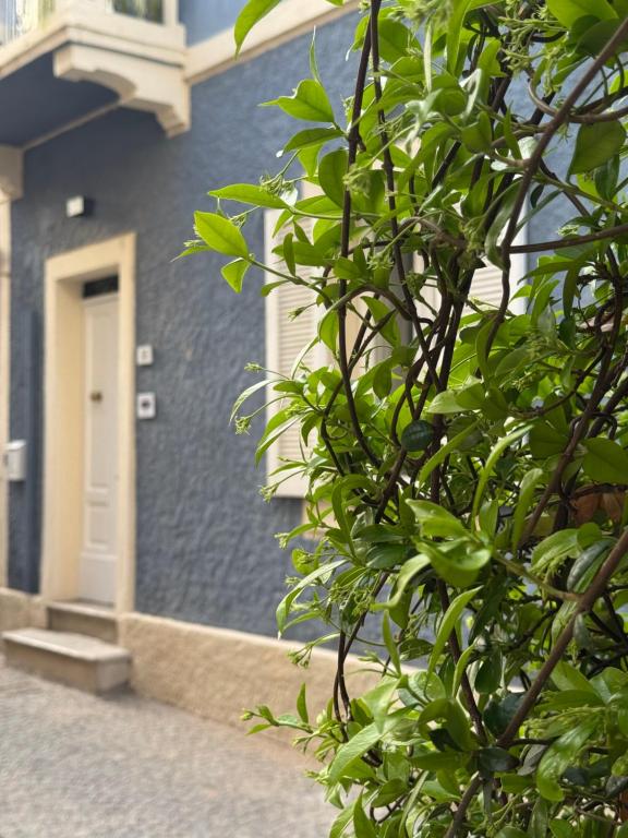 a blue building with a white door and a tree at azul rooms & suites in Olbia