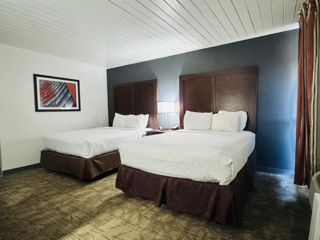 Alamo Inn & Suites photo