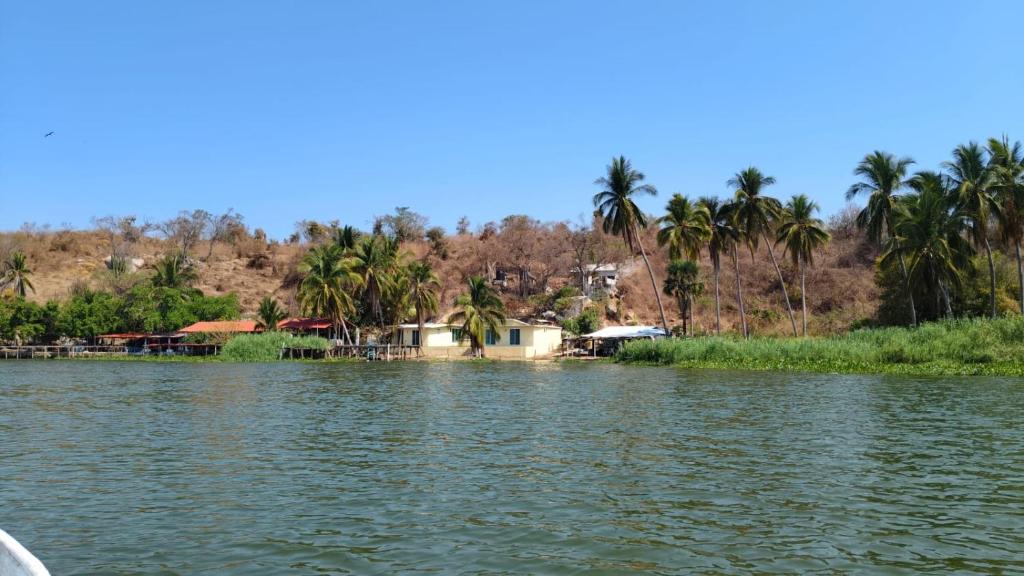 a view of a body of water with palm trees at Villas Isla Montosa in Coyuca de Benítez