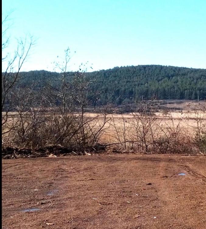 a dirt field with trees in the background and a field with a field at Jelkő Ház in Terpes
