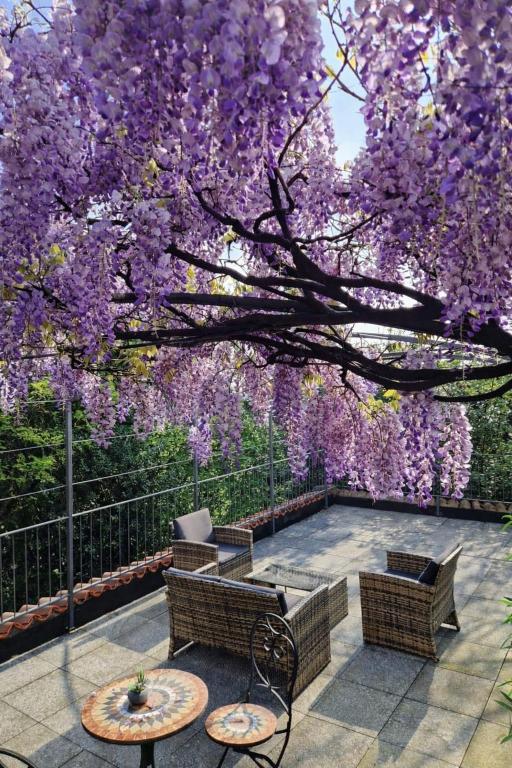 a flowering tree with purple flowers on a patio at La Corte dei Tre Nidi in Albavilla