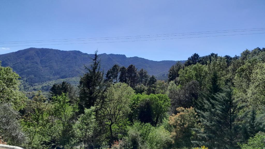 a view of a forest with mountains in the background at Verdure, rivière et vue imprenable in Sallelles