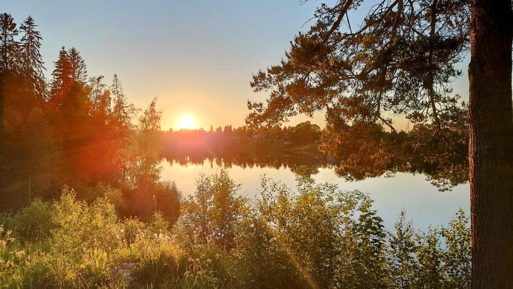 a reflection of the sun in a lake with trees at Dalälven Strand in Södersätra