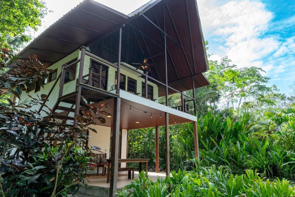 a house in the middle of a forest at Casa Leon in Talamanca