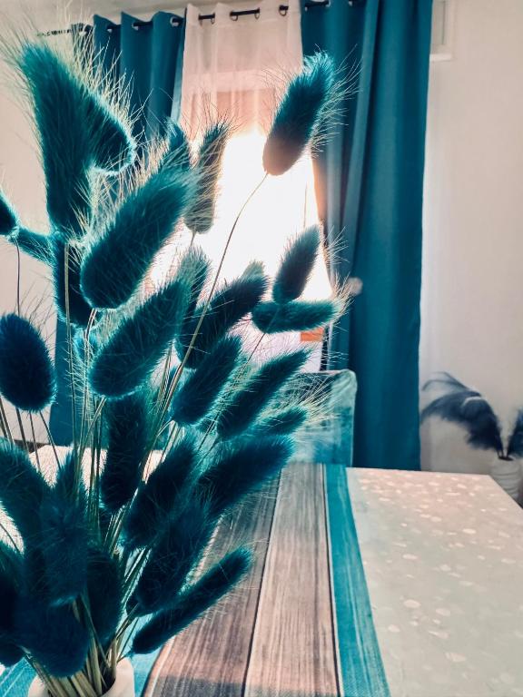a bunch of feathers on a table next to a window at Casa Sandalia in Villacidro