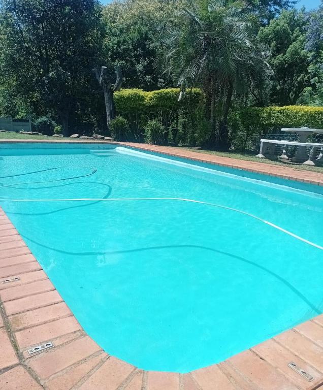 a swimming pool with a blue pool at Maselli Guesthouse in Howick