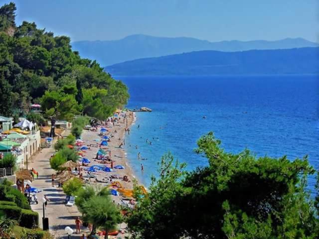 een strand met parasols en mensen in het water bij Brig Apartments in Živogošće