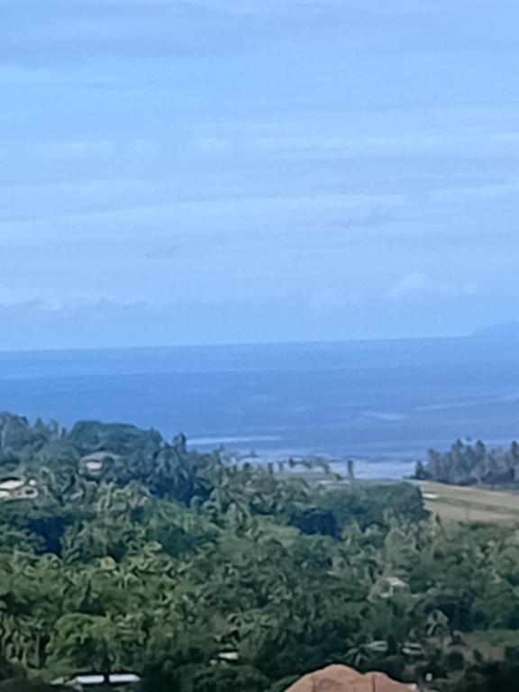 Blick auf den Ozean von einem Hügel mit Bäumen in der Unterkunft Sky view in Savusavu