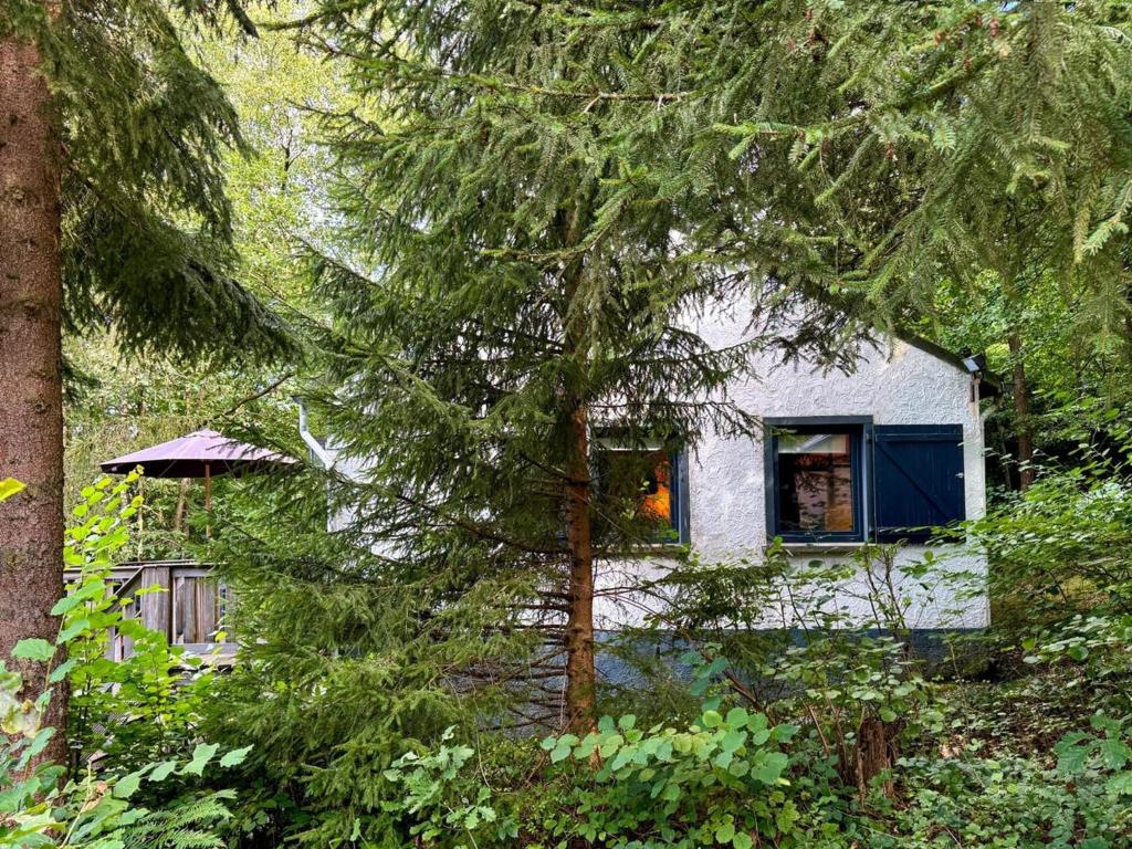 a white house with a blue window and trees at Cozy Durbuy Chalet with fireplace in Dochamps