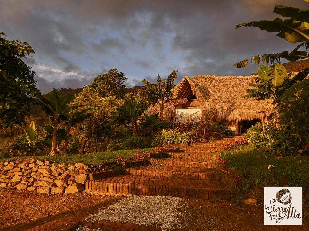 a house with a thatched roof and a stone wall at Sierra Alta Finca Boutique in Minca