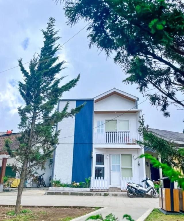 a white and blue house with a tree at Teras Candi Villa in Diyeng