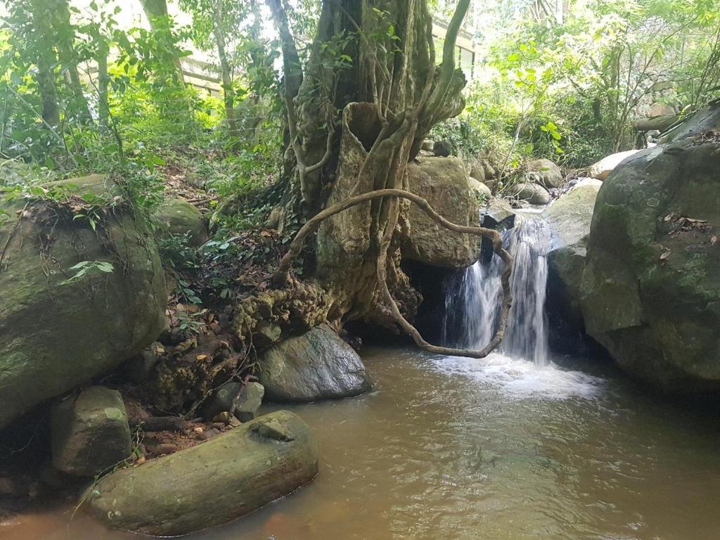 a waterfall in a forest with rocks and trees at Dilco Nature Resort - BERAGALA in Dambawelagama