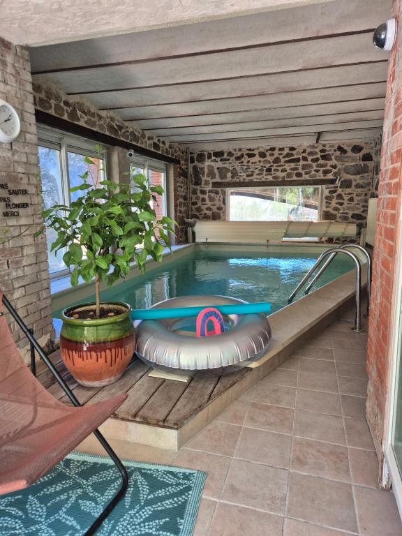 a swimming pool in a house with a plant at Le Berthoir in Pélussin