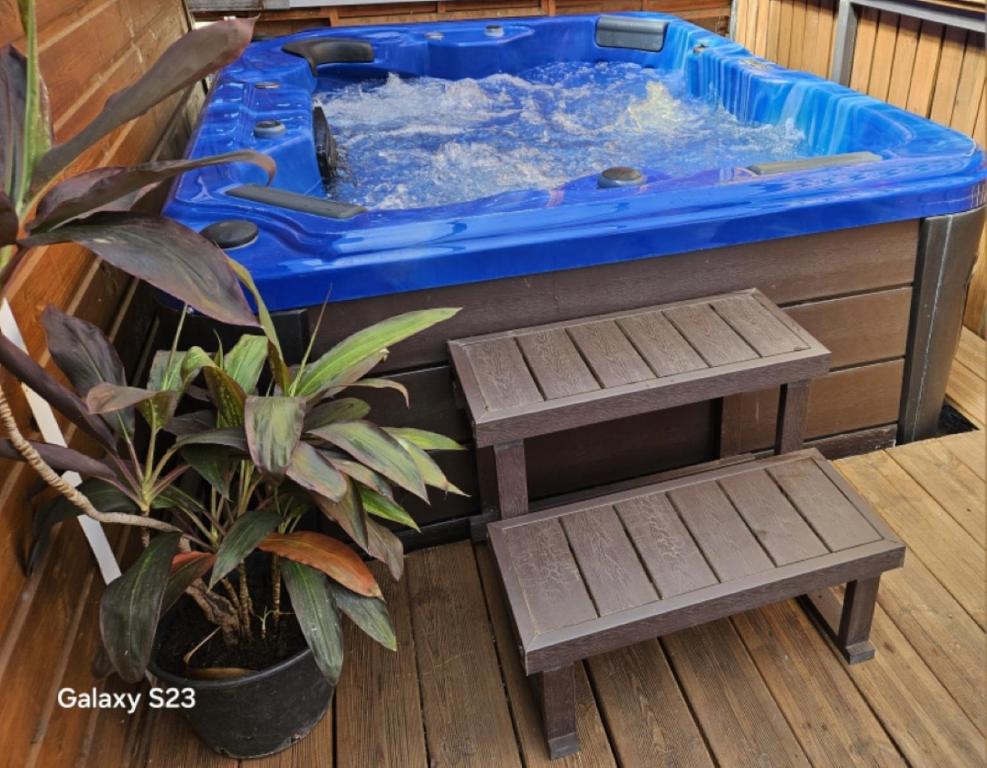 a hot tub with a bench next to a plant at La Cariole in Saint-Pierre