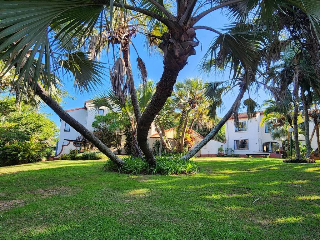 a group of palm trees in a yard with a building at Peter Pan Place in Port Edward