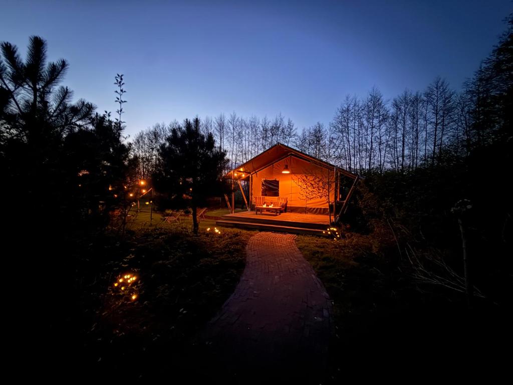 a small cabin in the woods at night at The Love Nest in Heelweg