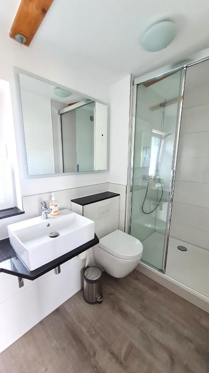 a bathroom with a toilet and a sink and a shower at PONTUS Ferienwohnung FeWo2 in Zislow