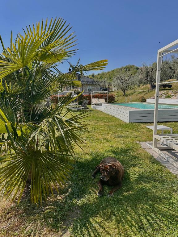 Holiday Home Sovenigo