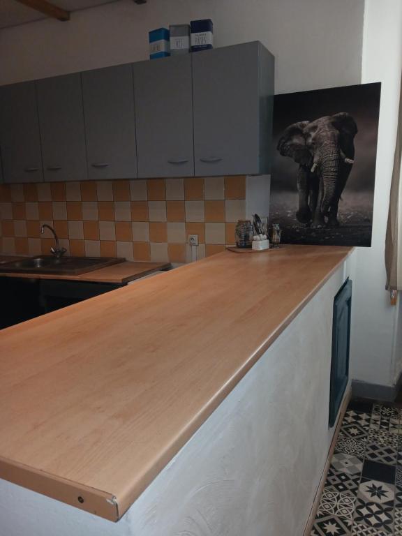 a kitchen with a counter top with an elephant on it at Massilia in Marseille