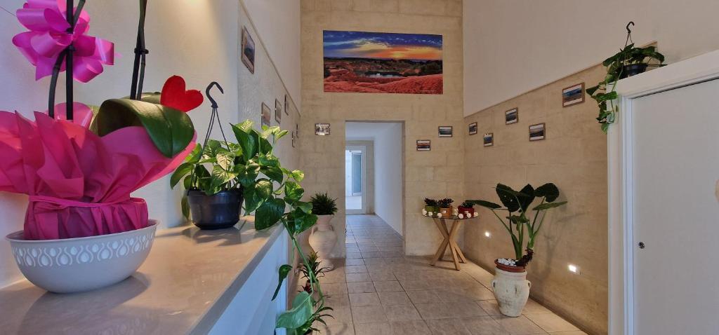 a hallway with a bunch of potted plants in a room at San Giorgio Rooms in Cavallino di Lecce