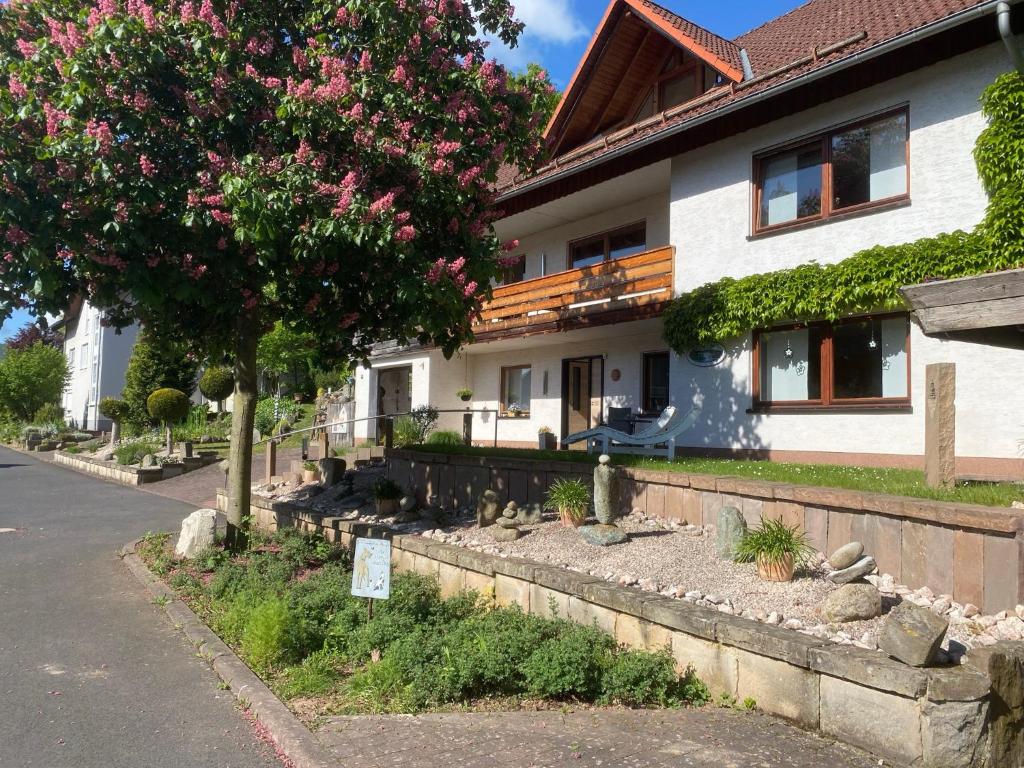 a house on the side of a street at Ferienwohnung Klein und Fein in Edertal
