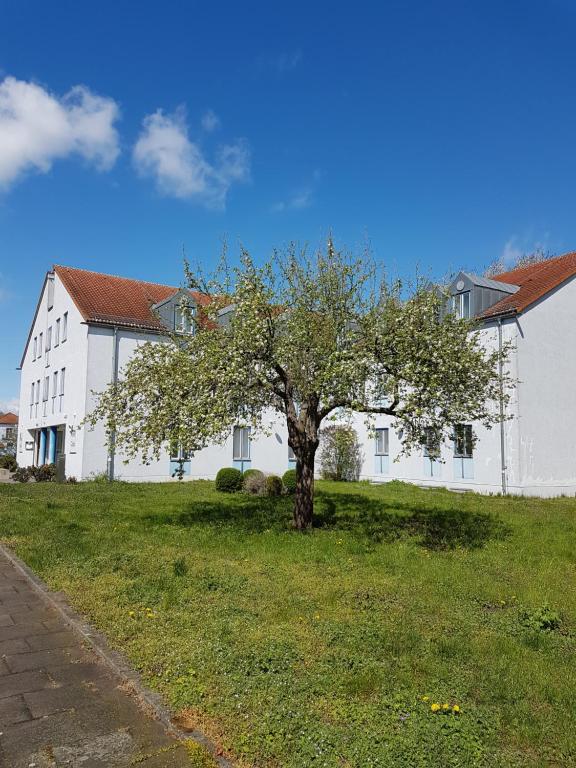 a white house with a tree in front of it at Hotel Götz in Groß Kreutz