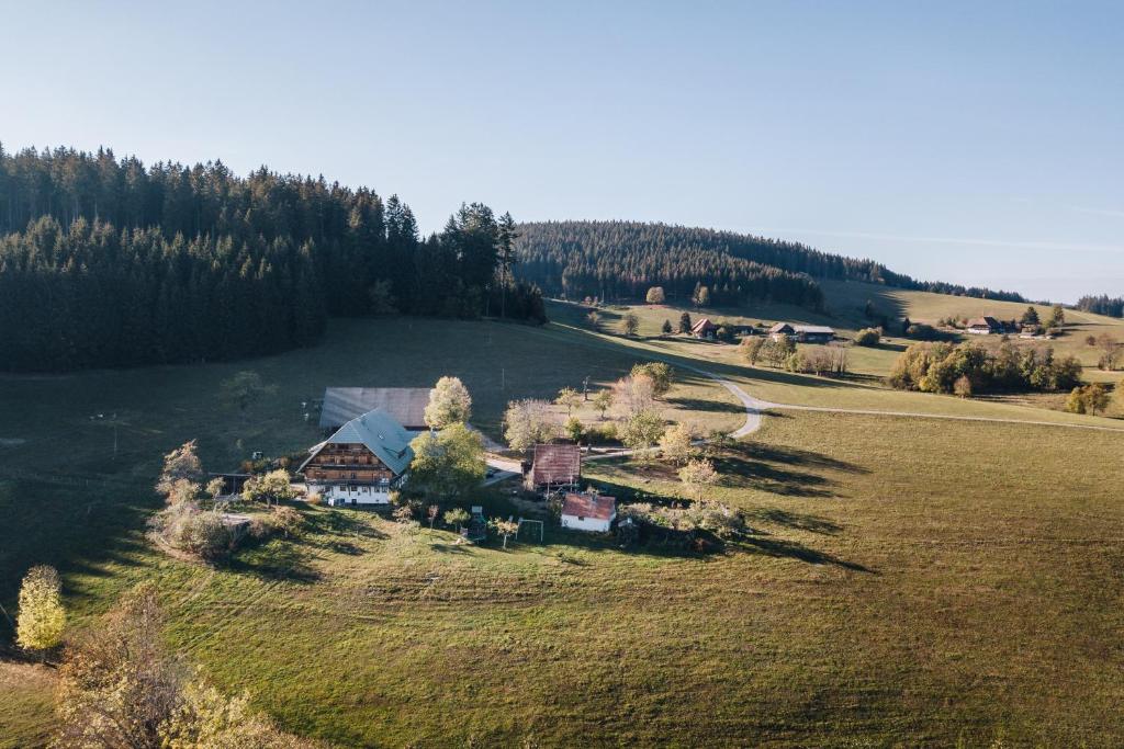 an aerial view of a house in the middle of a field at Sigmundenhof Schonach in Ölberg