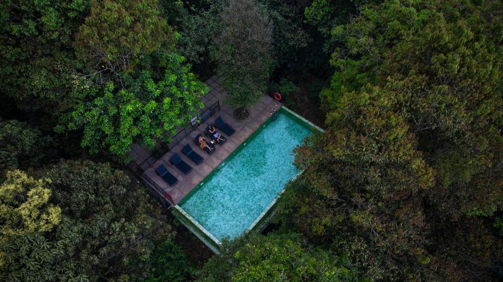 an overhead view of a swimming pool in a forest at Wayanad Wild - A CGH Earth Experience in Vythiri