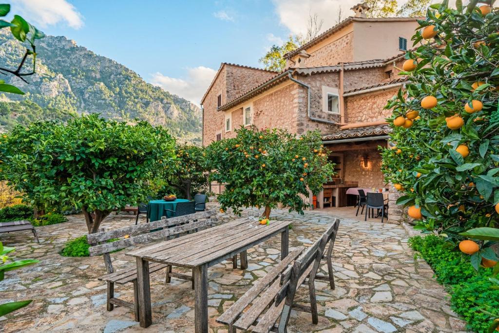 an outdoor patio with a wooden bench and orange trees at Se Teulere in Fornalutx
