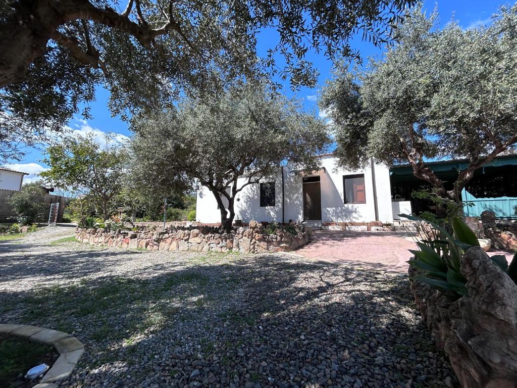 a white building with trees in front of it at casa Sa Breca in Tertenìa
