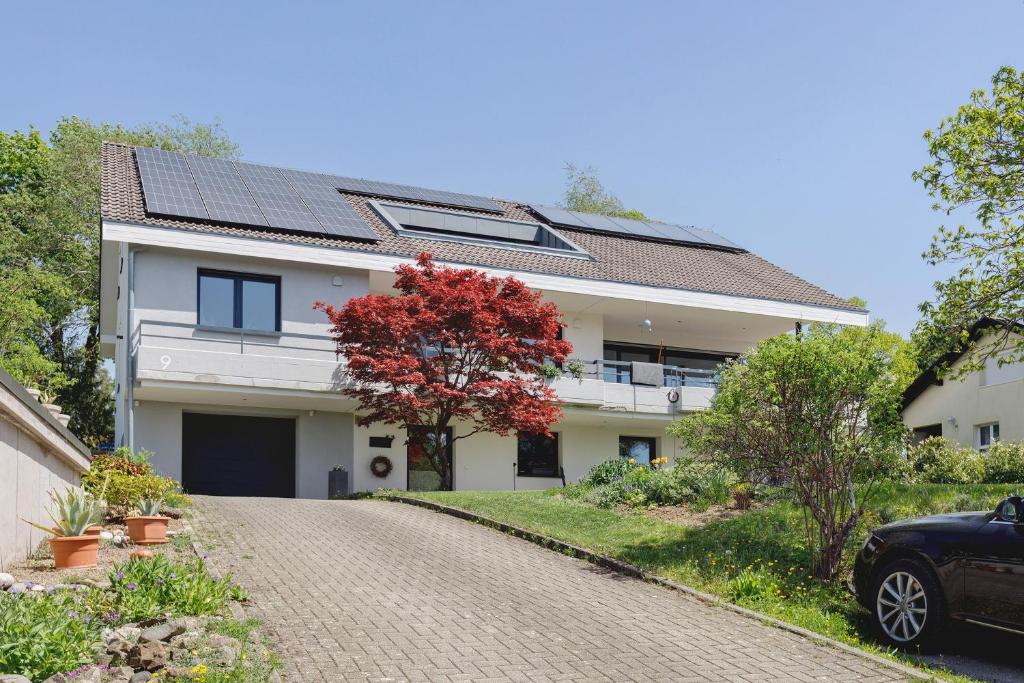 a white house with a red tree in front of it at Ferienwohnung Staffe in Bonndorf im Schwarzwald