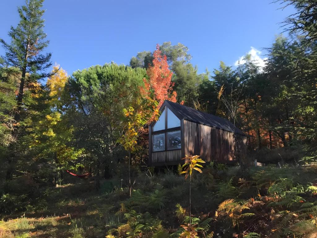 a cabin in the woods with trees at Cabanas do Alto da Coutada in Ponte de Lima