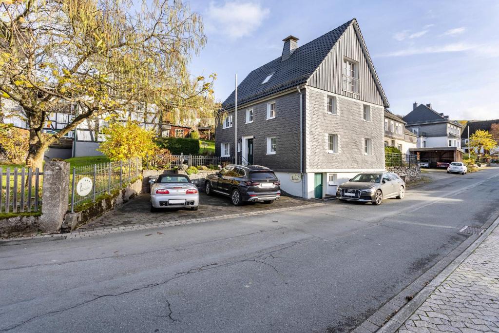 a street with cars parked in front of a house at Haus Lindenfürst in Olsberg