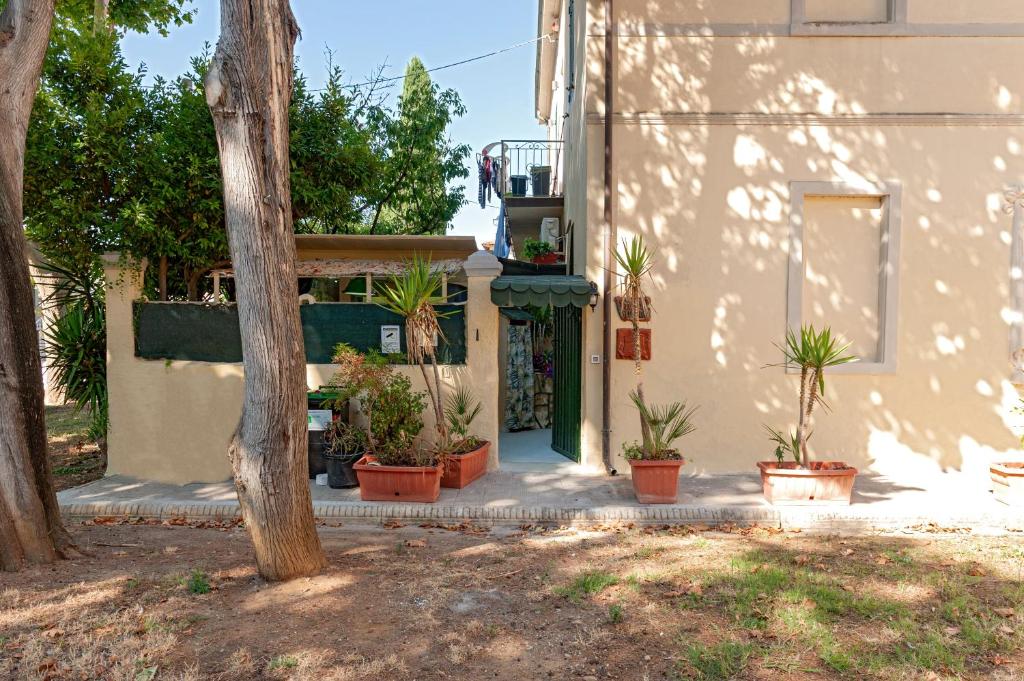 a house with potted plants on the side of it at Stanza Verde degli Artisti in Rosignano Marittimo