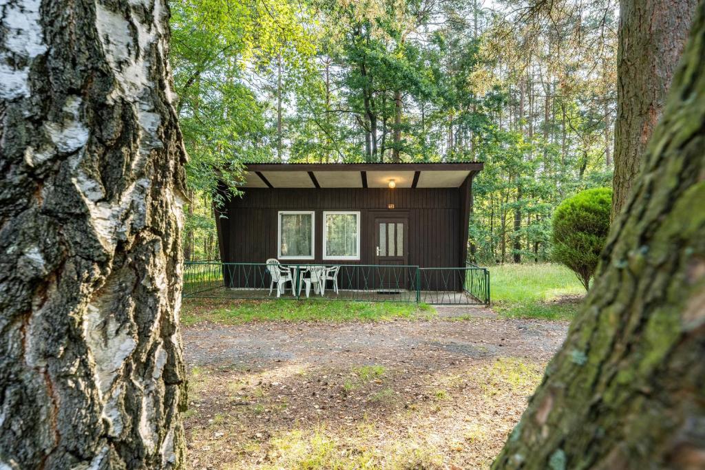 a small cabin in the woods with a table and chairs at Bungalow 13 - Finnhütte in Niesky
