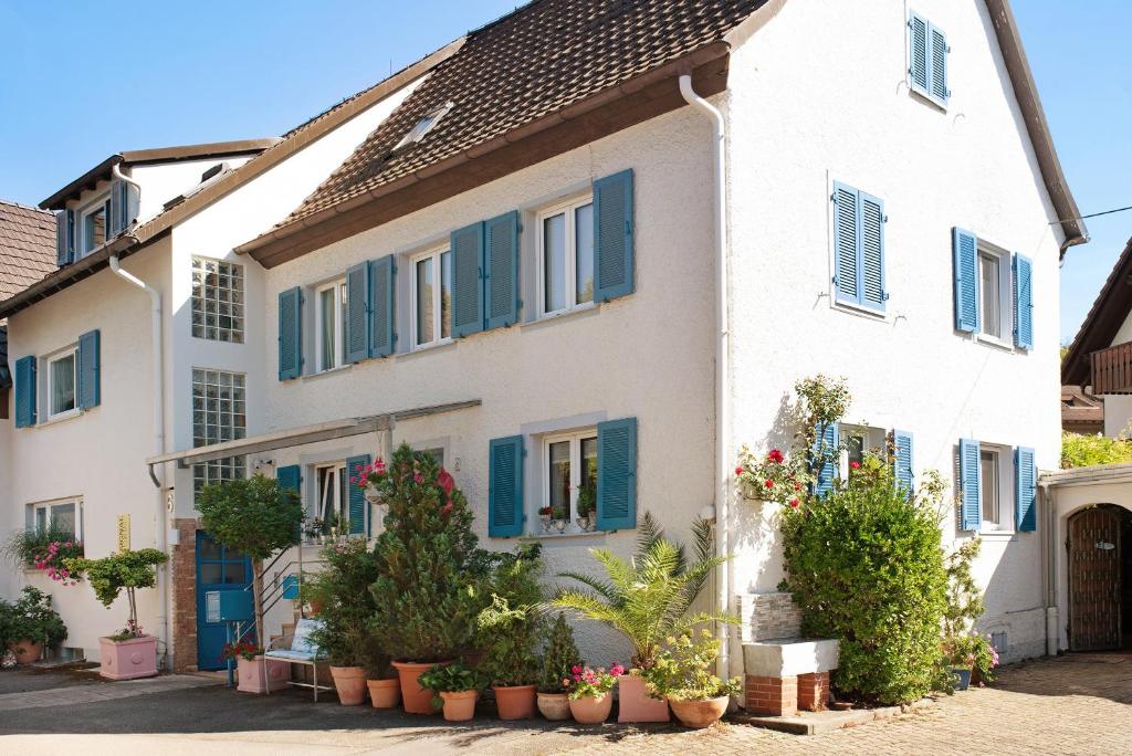 a white house with blue shutters and potted plants at Bluehome Ferienwohnung in Bad Bellingen